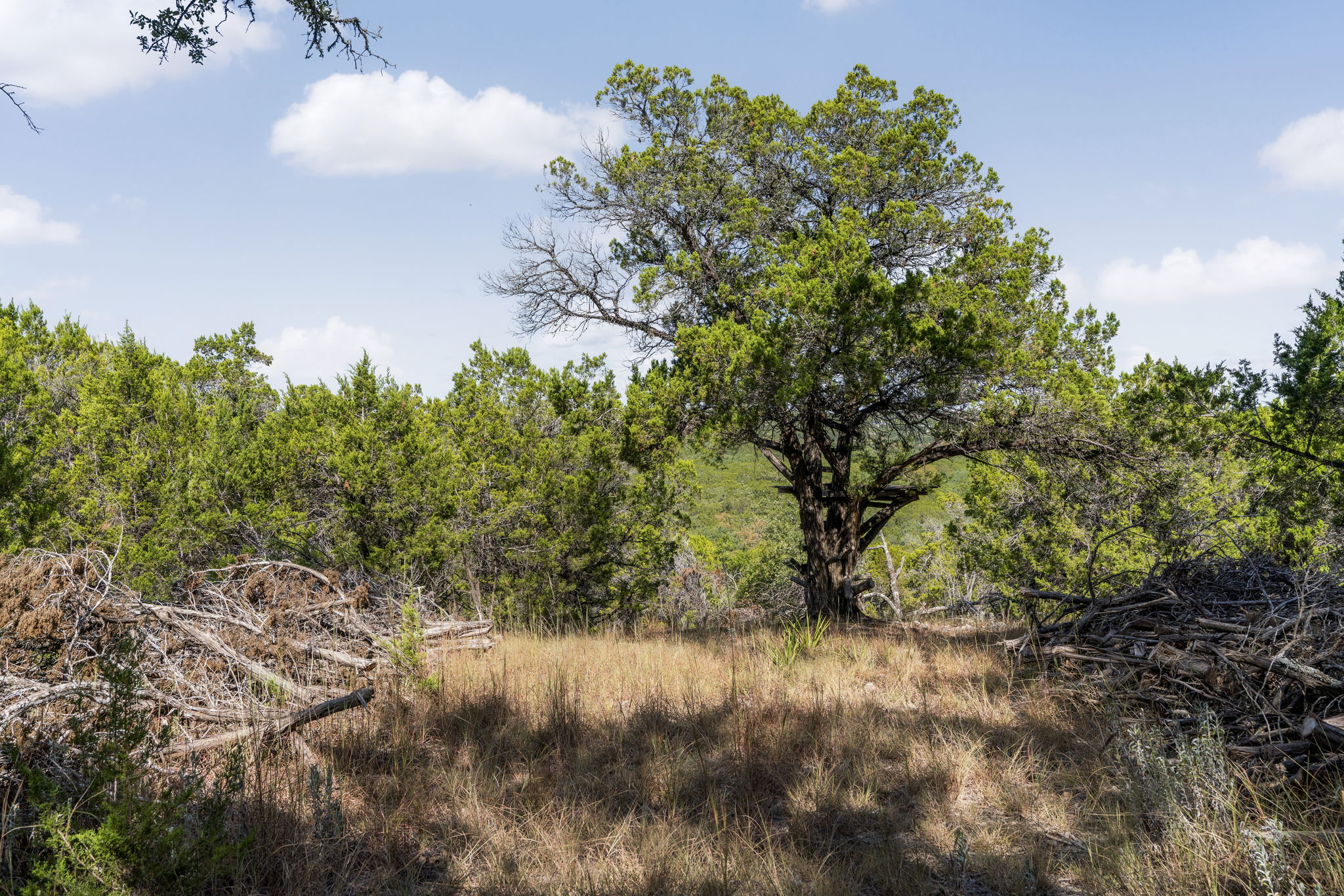 1930 South Rainbow Ranch Road Wimberley, TX 78676 - Photo 21 of 40