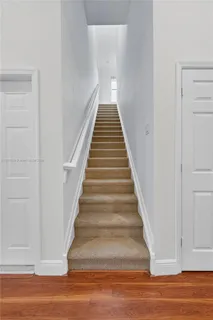 a view of a garden with potted plants