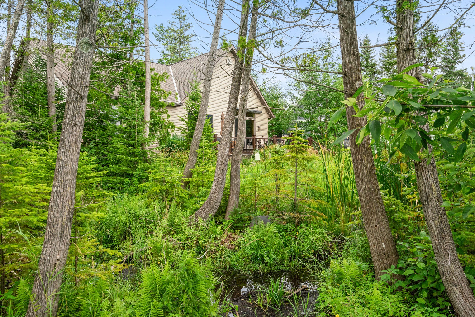 239 Sturgeon Bay Road Indian River, MI 49749 - Photo 60 of 80 Gallery Image 60