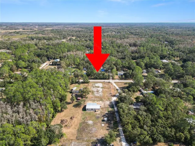 a view of a forest with a yard and mountain view