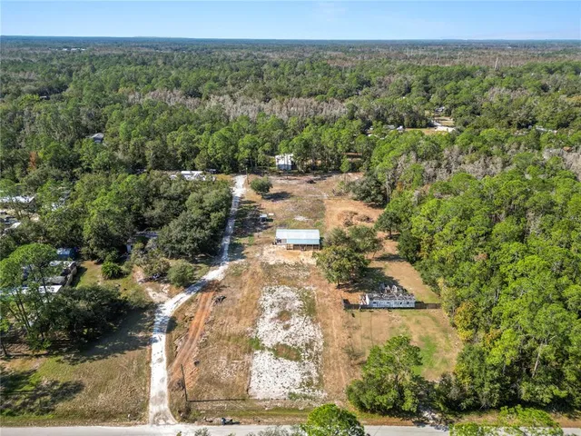 a view of a city with lush green forest