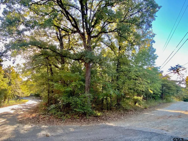 $60,000 | Tbd Loving Lane, Gun Barrel City, TX 75156