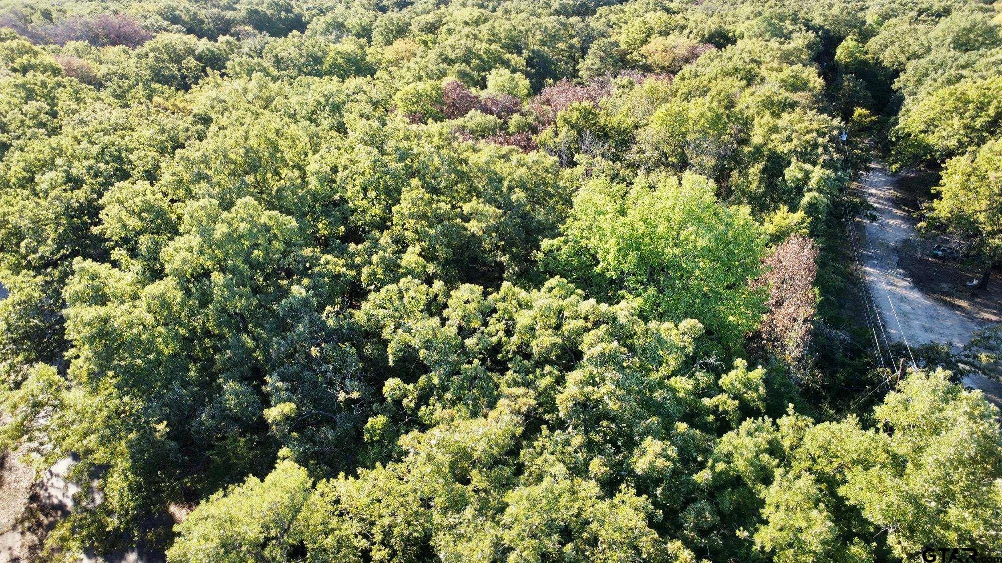 Tbd Loving Lane Gun Barrel City, TX 75156 - Photo 11 of 11