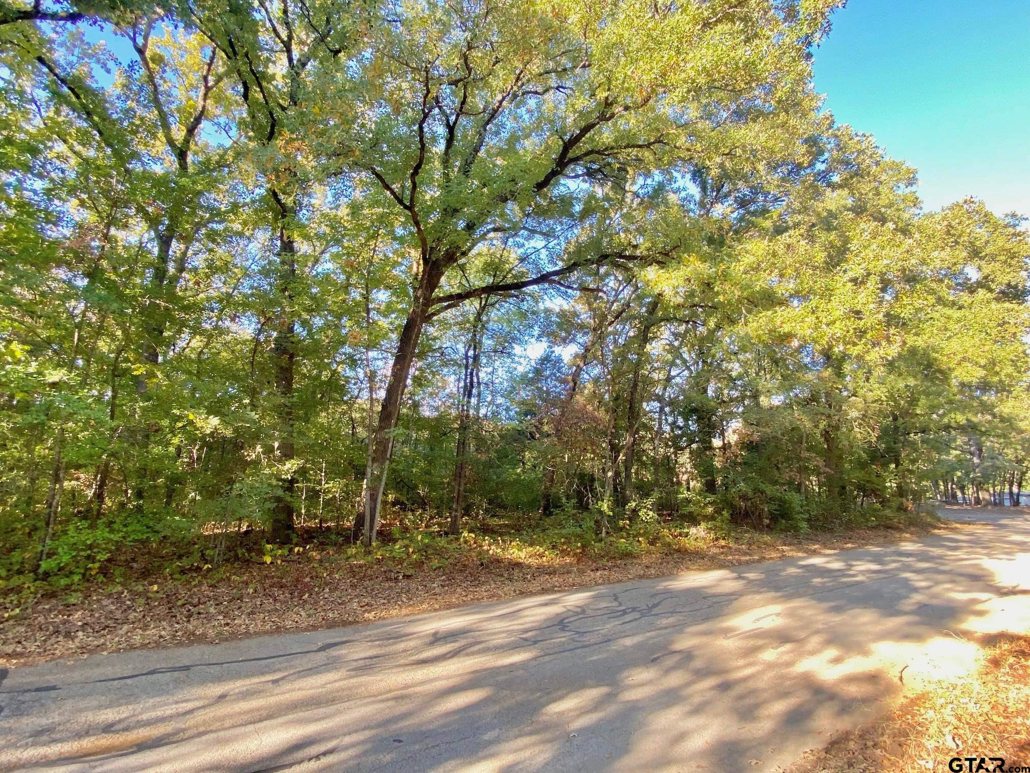 Tbd Loving Lane Gun Barrel City, TX 75156 - Photo 2 of 11