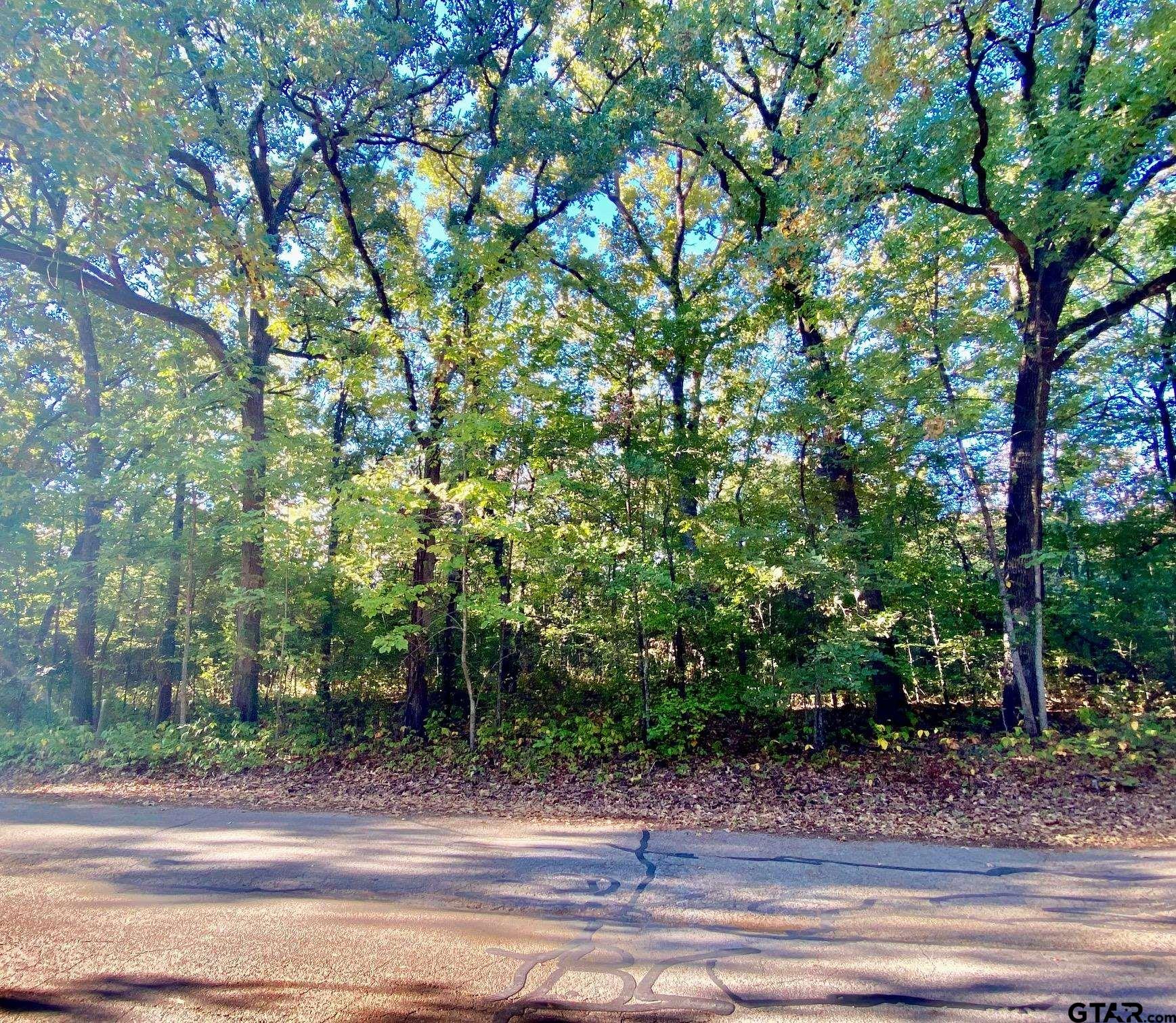 Tbd Loving Lane Gun Barrel City, TX 75156 - Photo 3 of 11