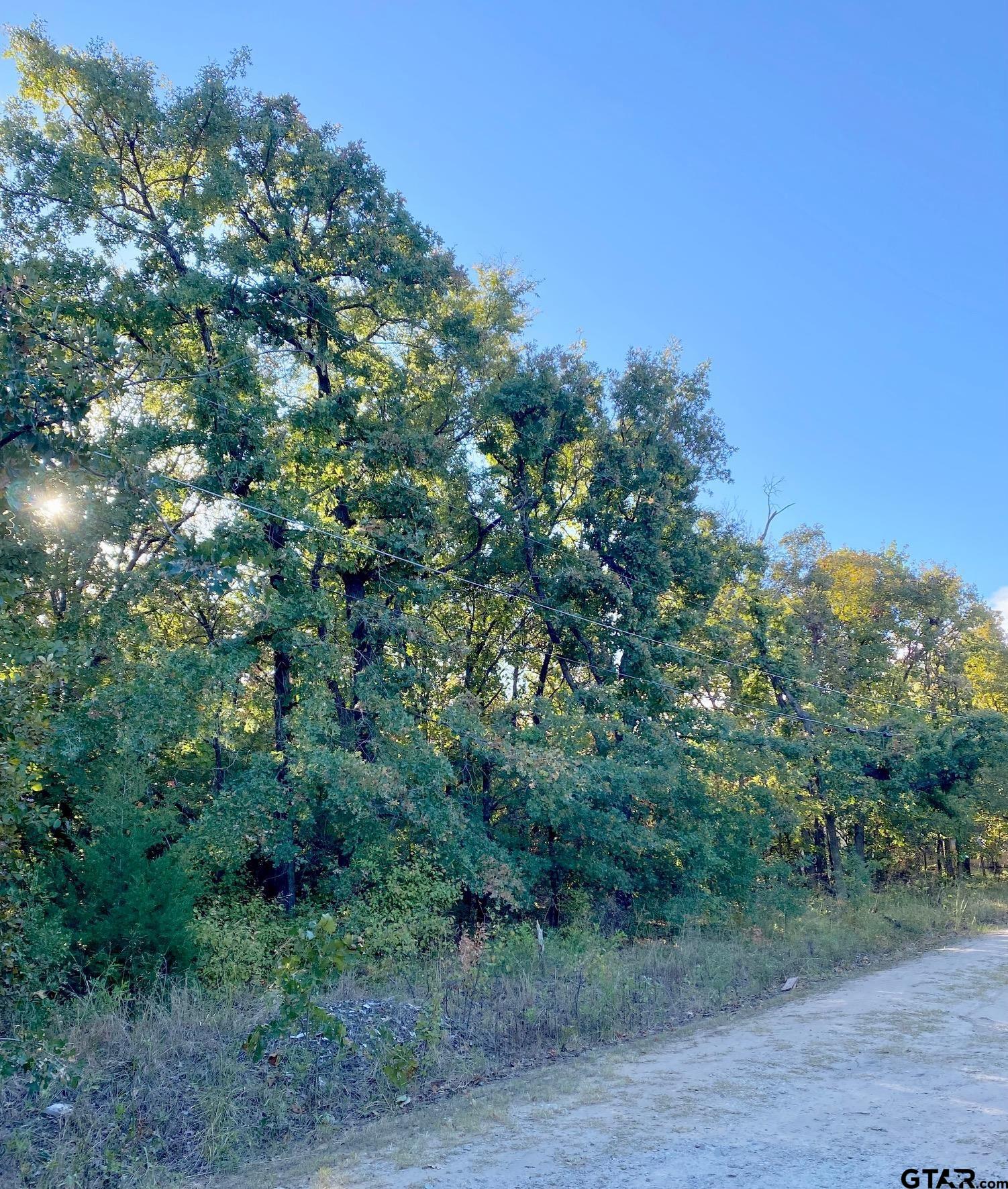 Tbd Loving Lane Gun Barrel City, TX 75156 - Photo 4 of 11