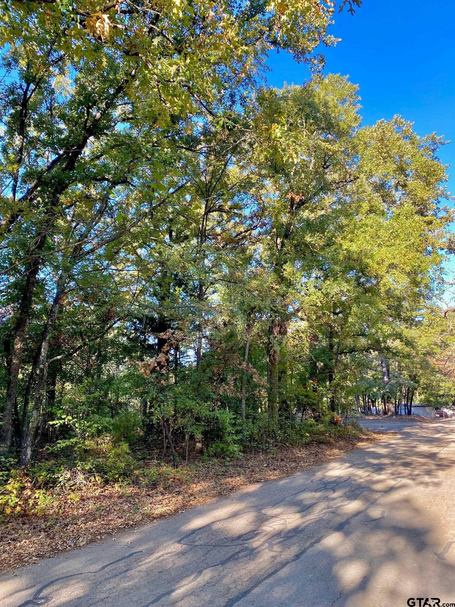 Tbd Loving Lane Gun Barrel City, TX 75156 - Photo 5 of 11