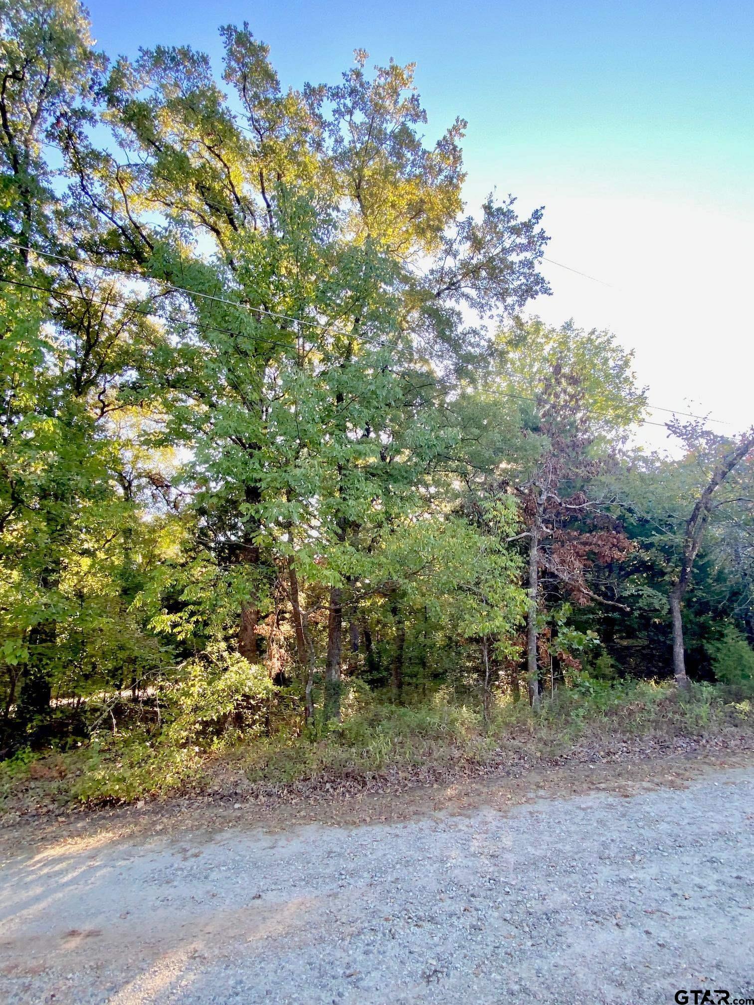 Tbd Loving Lane Gun Barrel City, TX 75156 - Photo 6 of 11