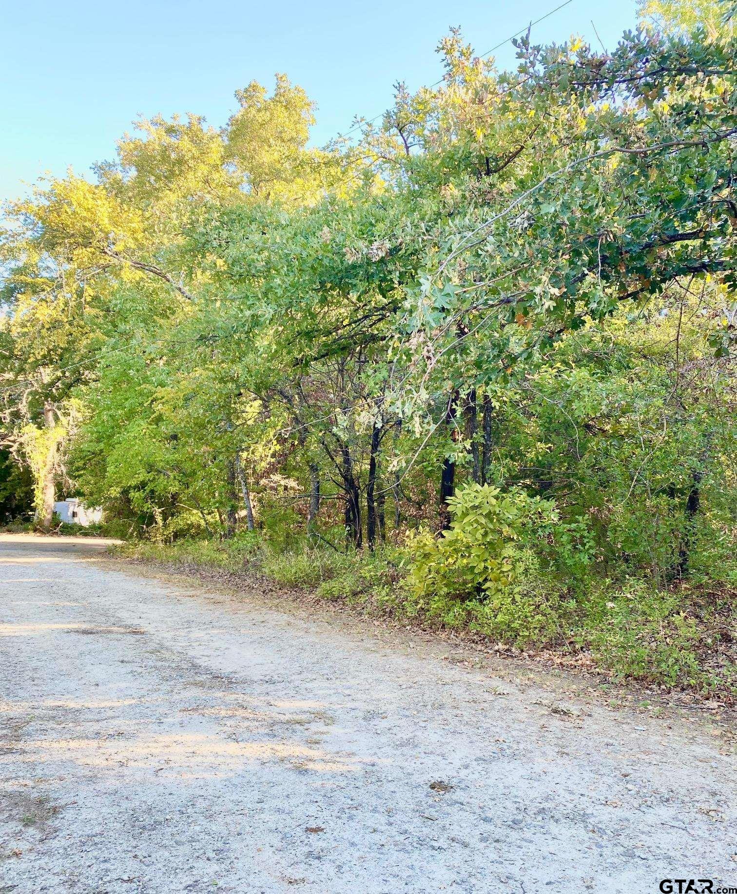 Tbd Loving Lane Gun Barrel City, TX 75156 - Photo 7 of 11