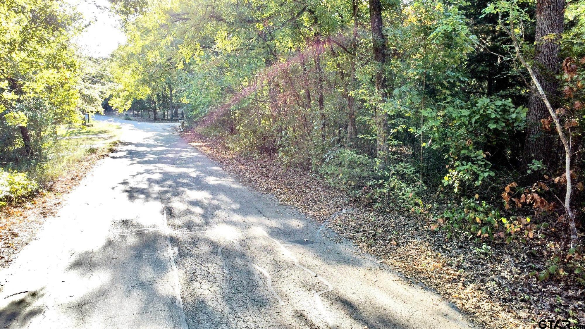 Tbd Loving Lane Gun Barrel City, TX 75156 - Photo 9 of 11