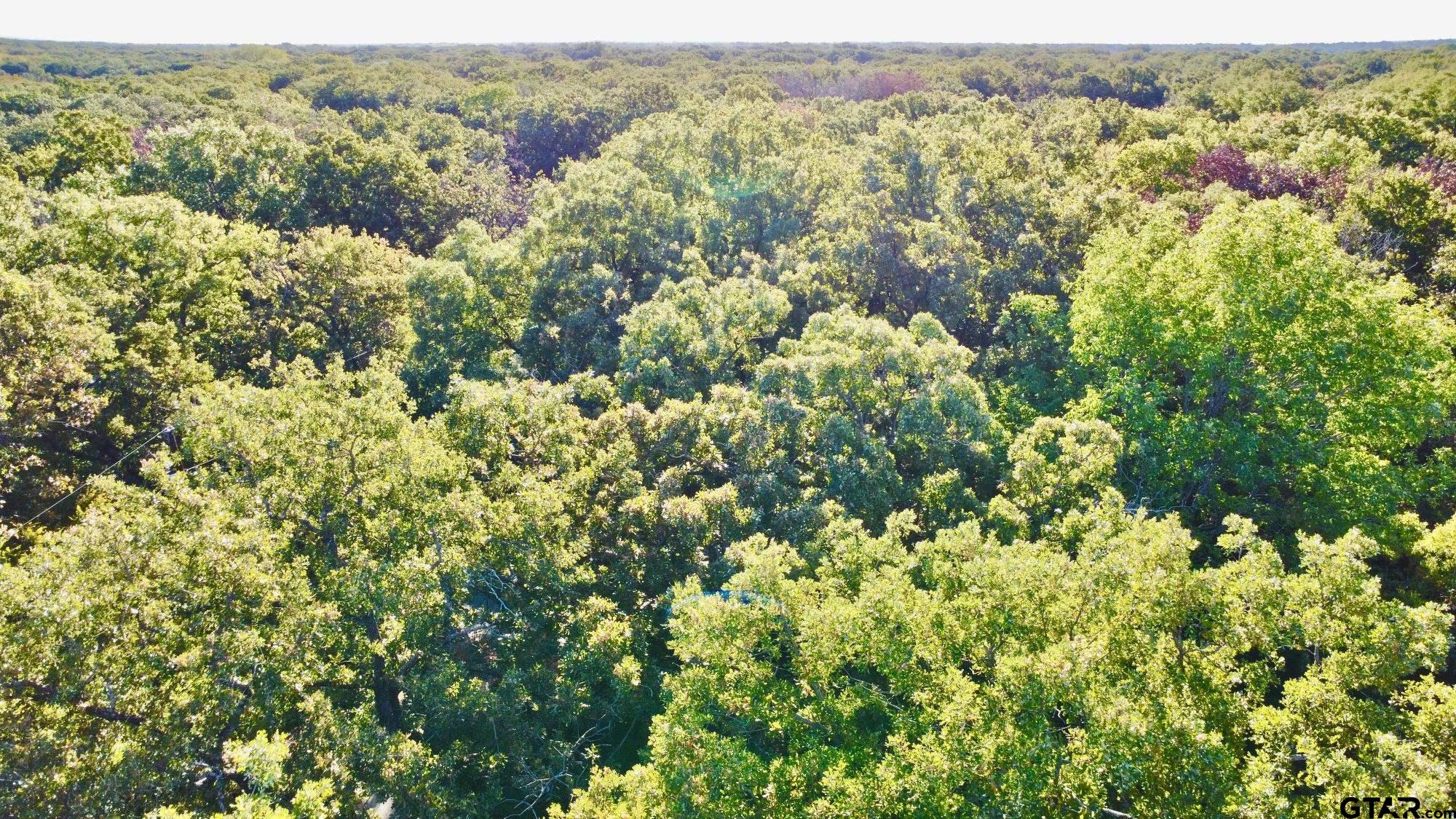 Tbd Loving Lane Gun Barrel City, TX 75156 - Photo 10 of 11