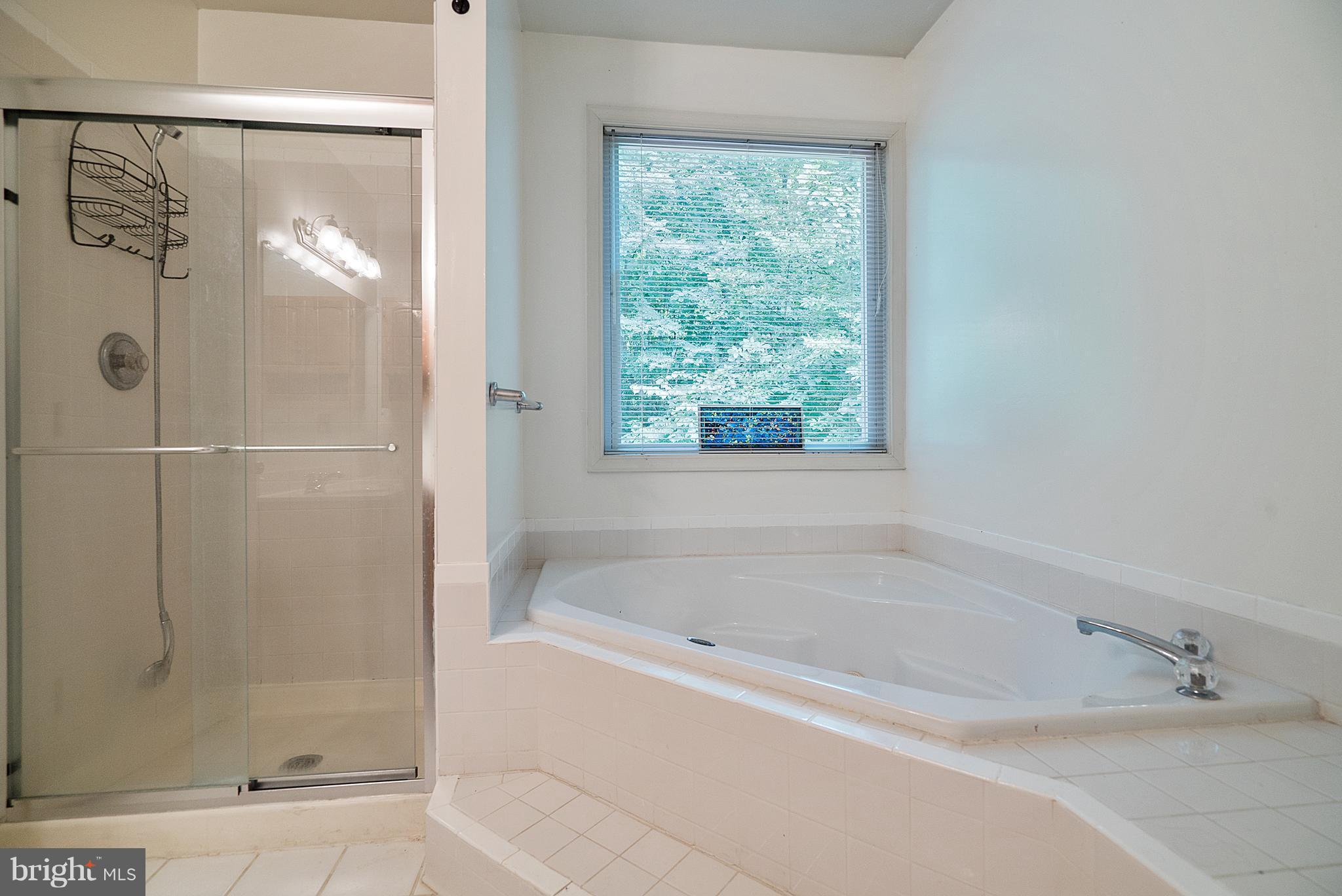 718 Freezeland Road Linden, VA 22642 - Photo 18 of 30 Master Bath with jacuzzi Tub