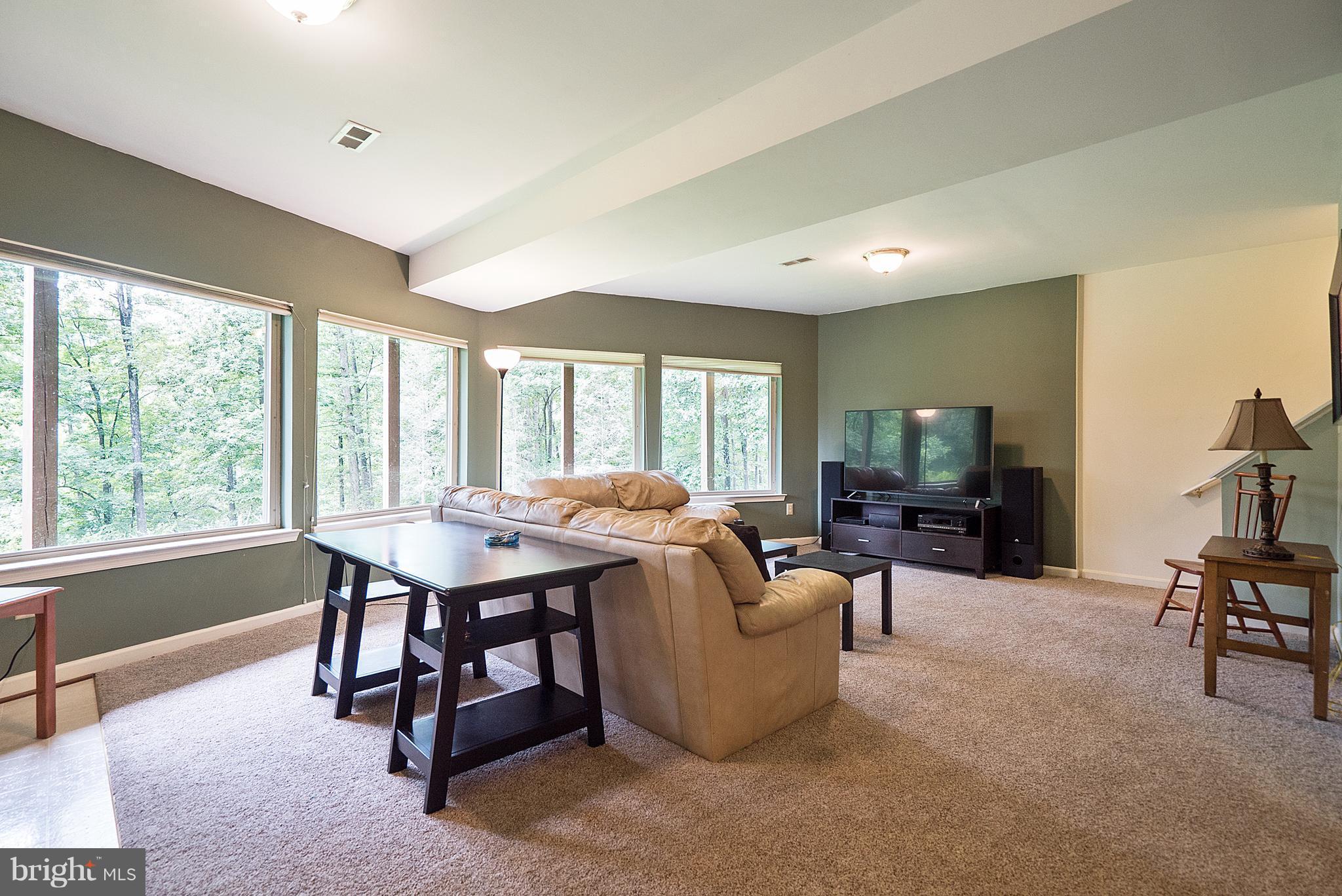 718 Freezeland Road Linden, VA 22642 - Photo 20 of 30 BASEMENT WITH WALL OF WINDOWS