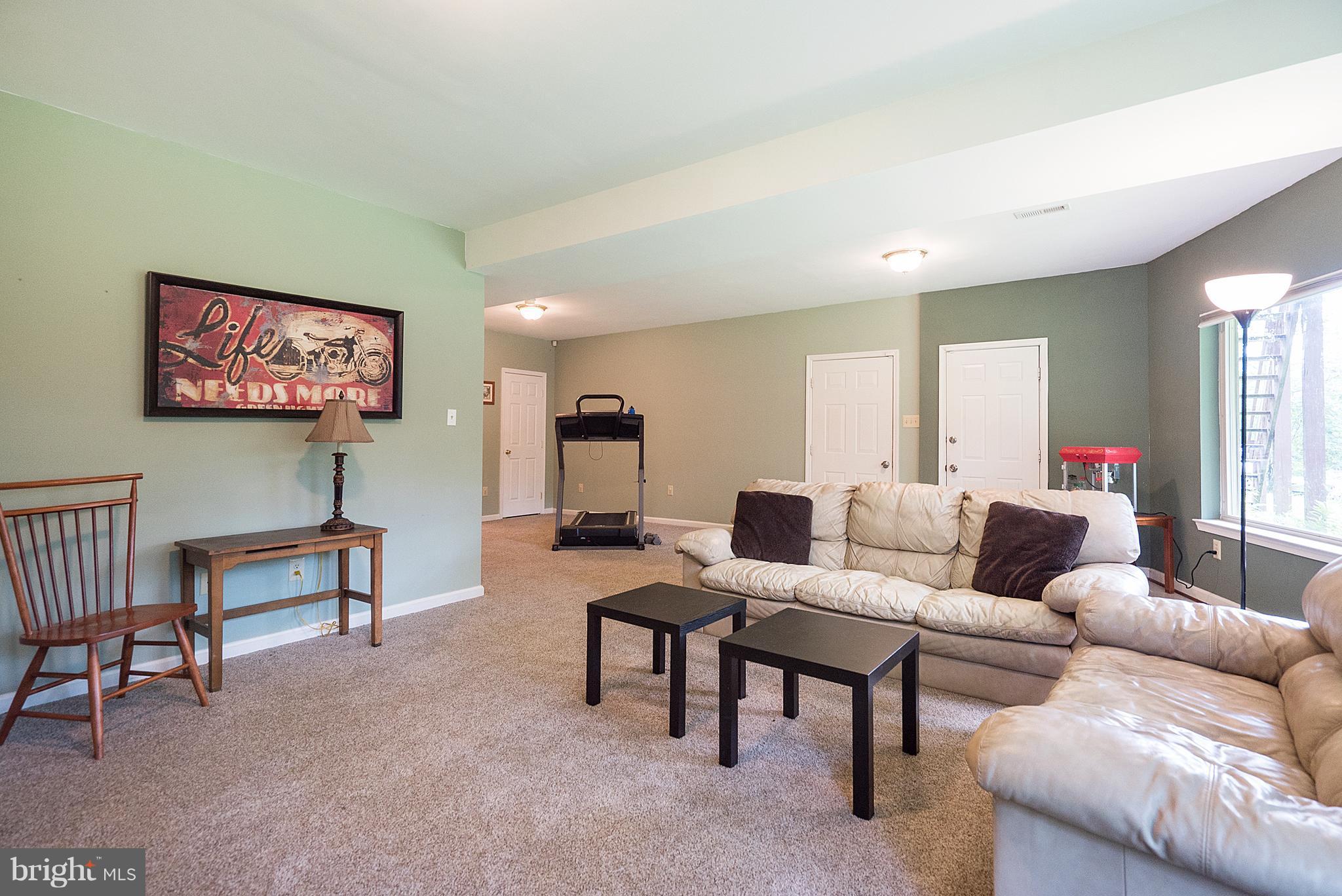 718 Freezeland Road Linden, VA 22642 - Photo 21 of 30 Basement Perfect for Entertaining