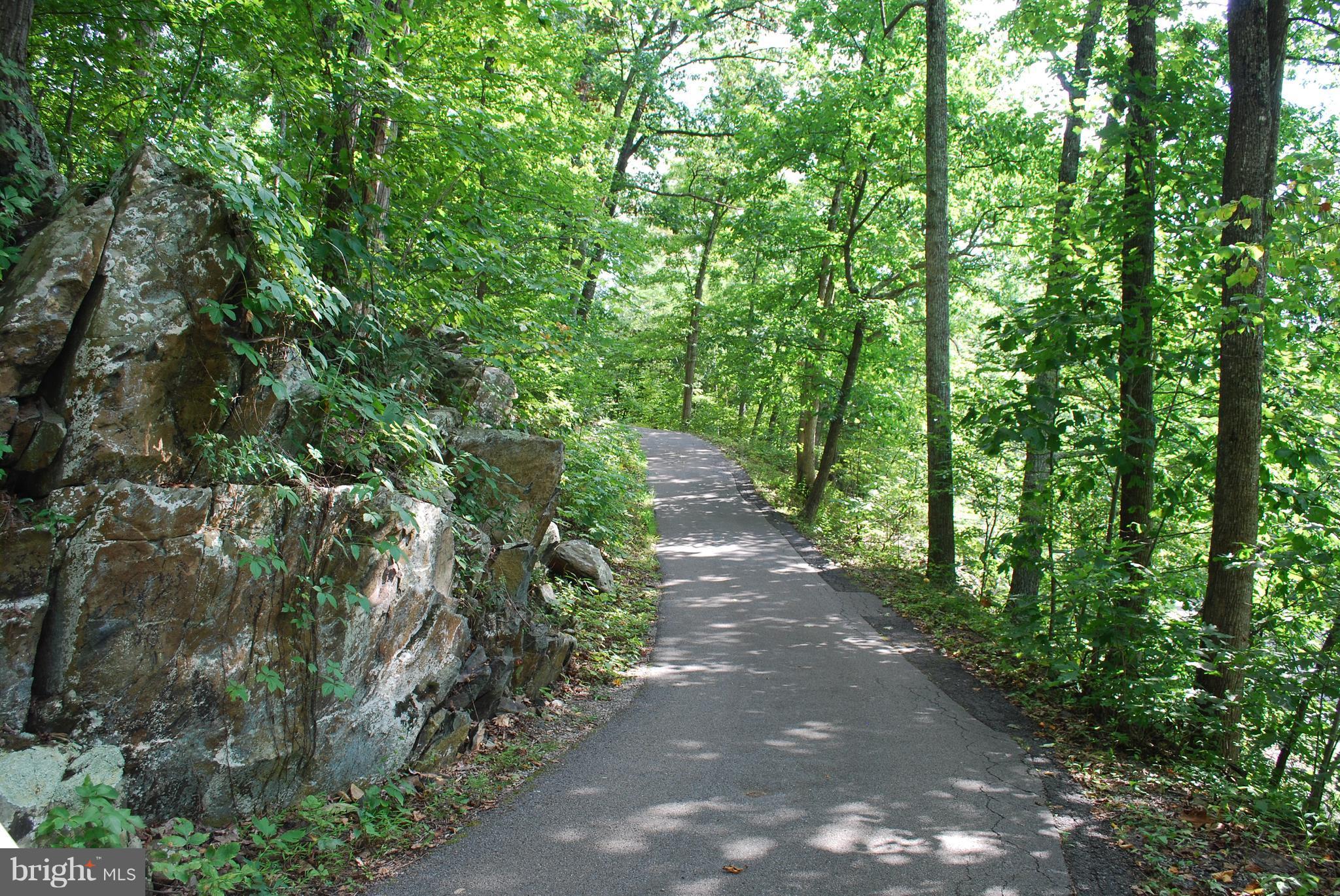 718 Freezeland Road Linden, VA 22642 - Photo 27 of 30 GORGEOUS DRIVE WAY TO THE HOUSE