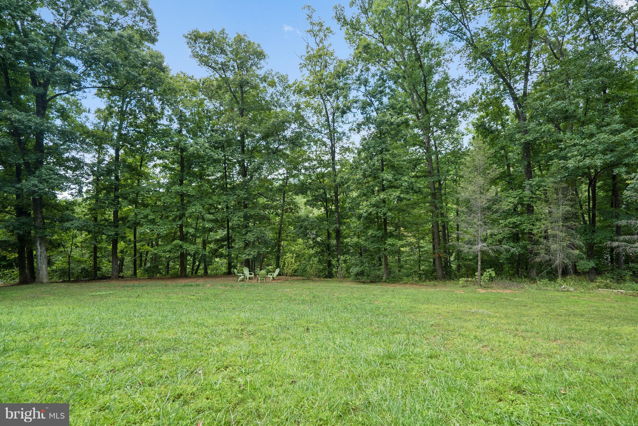718 Freezeland Road Linden, VA 22642 - Photo 29 of 30 Front Yard Views