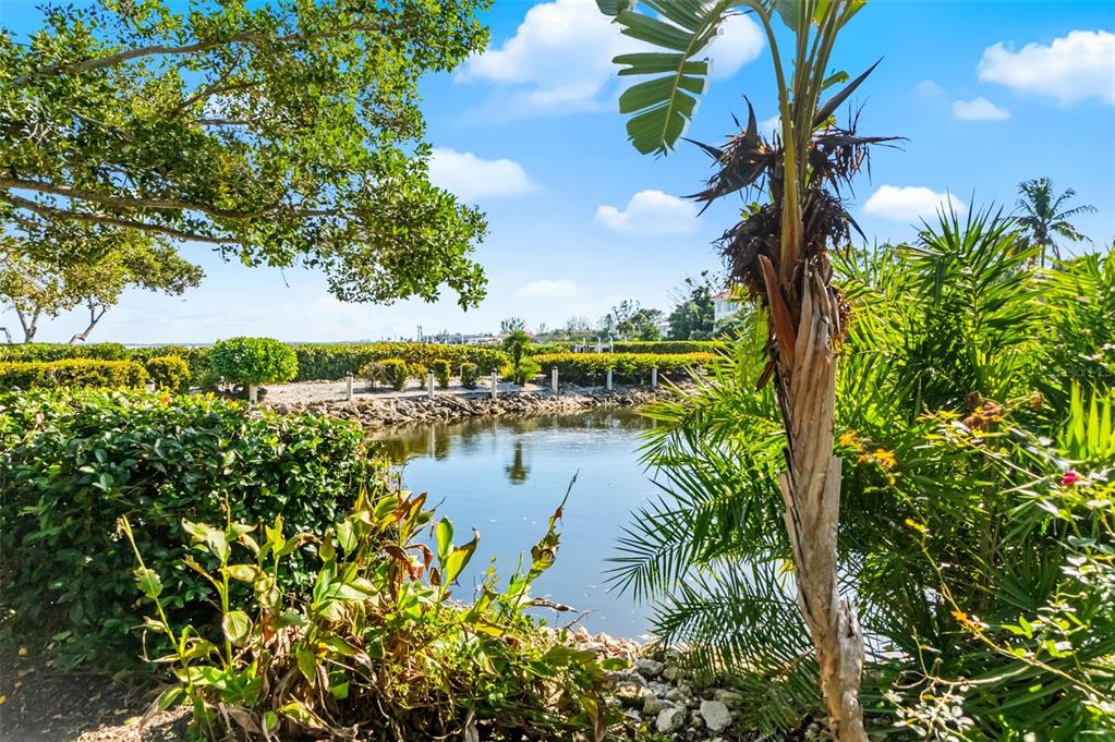 5382 Sandhamn Place Longboat Key, FL 34228 - Photo 38 of 55 a view of a lake with a palm trees