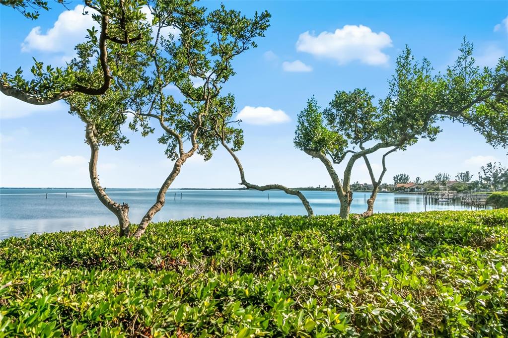 5382 Sandhamn Place Longboat Key, FL 34228 - Photo 41 of 55 a view of a garden