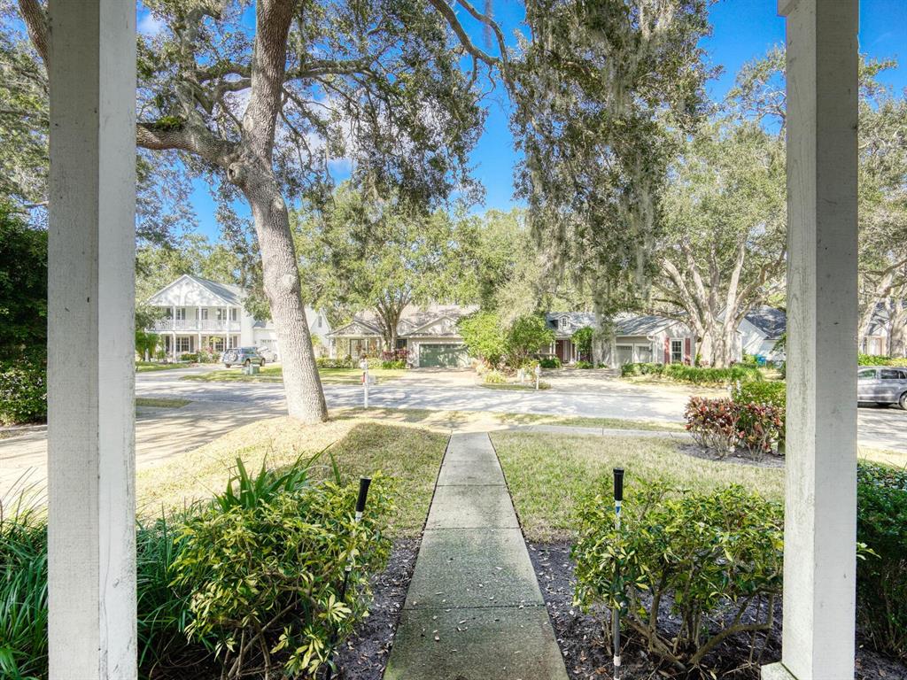 2217 Rising Creek Court Dunedin, FL 34698 - Photo 41 of 45