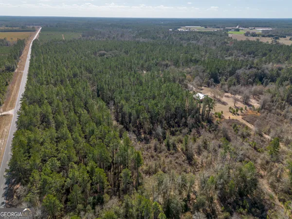 a view of a city with lush green forest