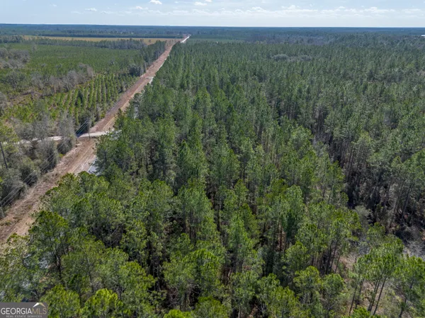 a view of a lush green forest with a lake and trees in the background