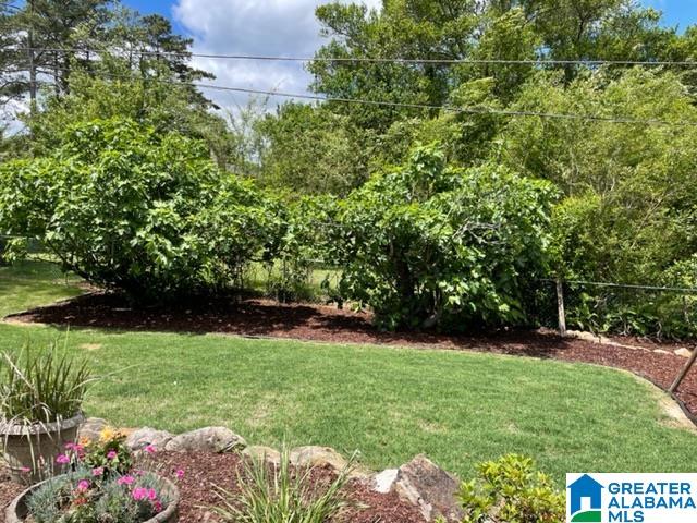 2377 Chapel Road Birmingham, AL 35226 - Photo 25 of 30