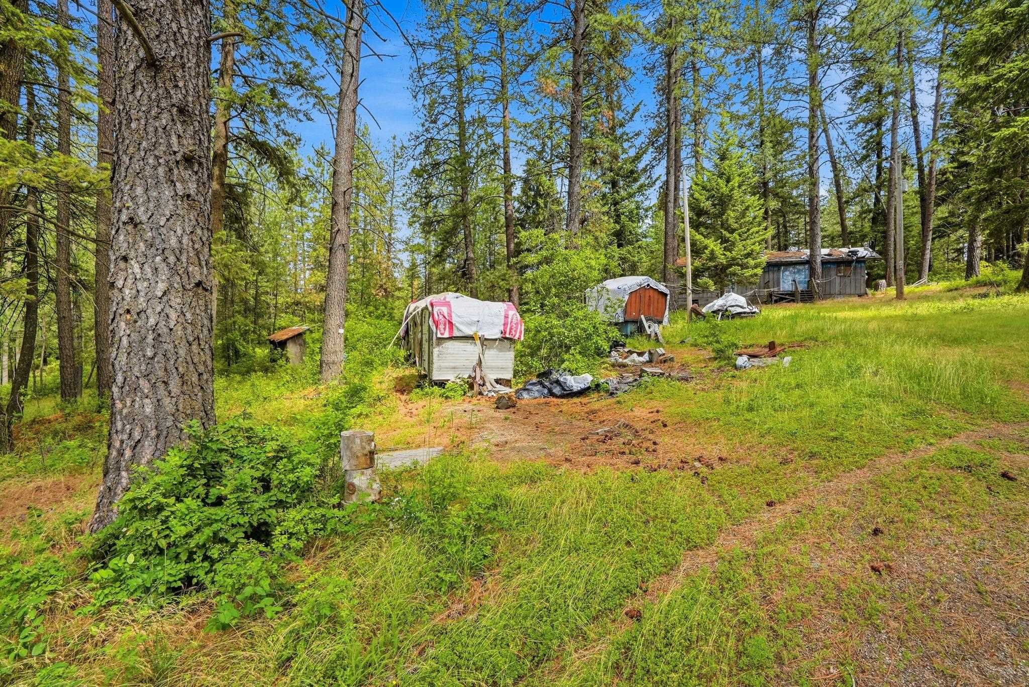 11603 East Deer Creek Road Chattaroy, WA 99003 - Photo 11 of 26