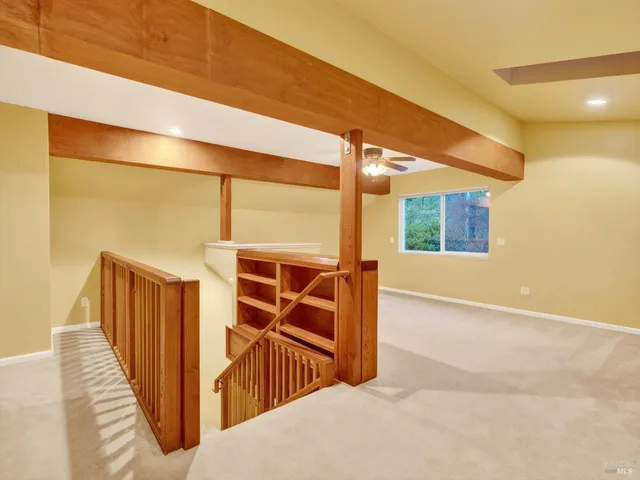 a view of a yard with plants and large trees