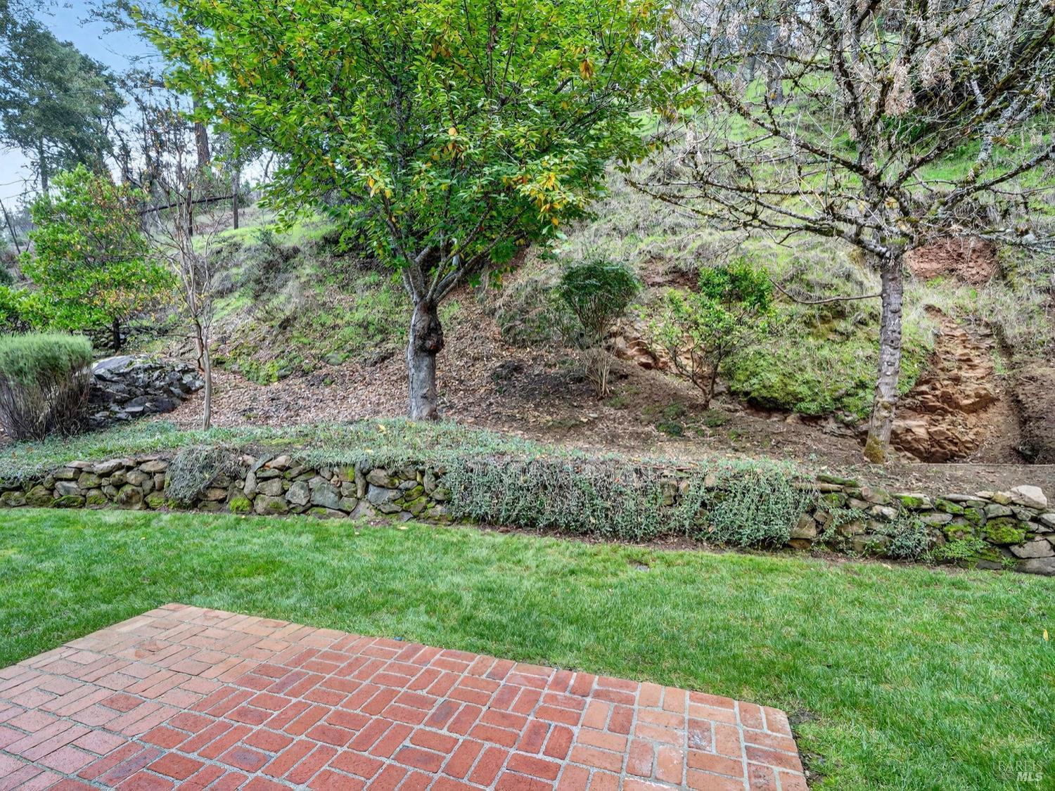 1290 Adobe Canyon Road Kenwood, CA 95452 - Photo 28 of 62 a view of a yard with plants and large trees