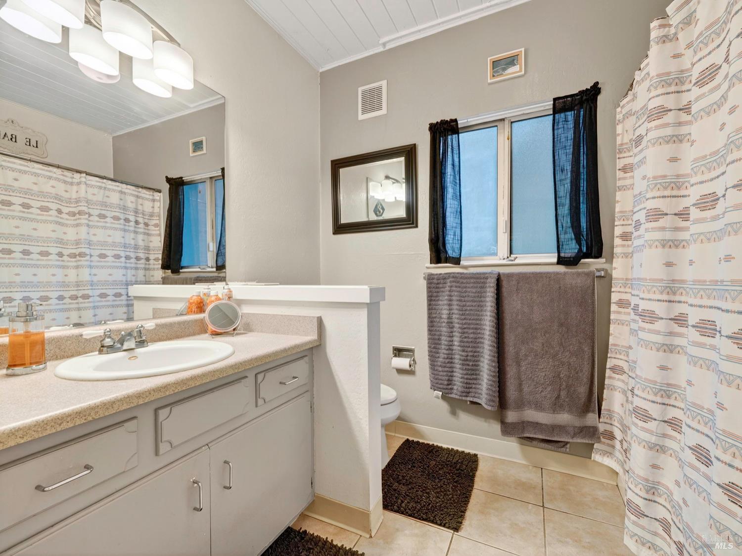 1290 Adobe Canyon Road Kenwood, CA 95452 - Photo 40 of 62 a bathroom with a sink a toilet and mirror
