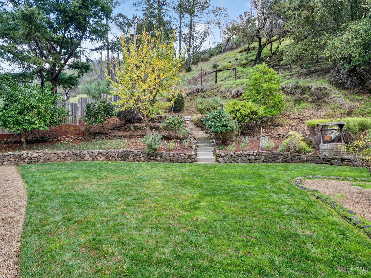 1290 Adobe Canyon Road Kenwood, CA 95452 - Photo 5 of 62 a view of a yard with plants and large trees