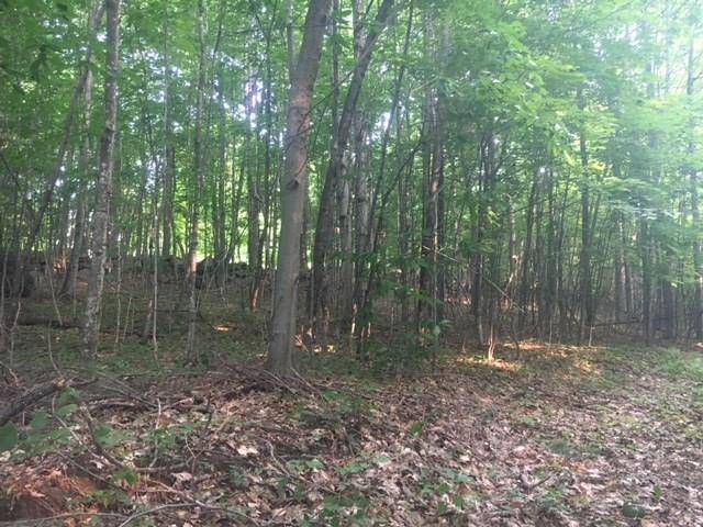 0 Oak Hill Road Kents Hill, ME 04349 - Photo 5 of 10 Photo
