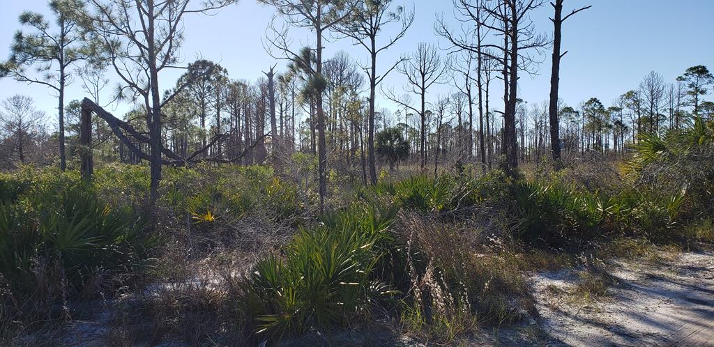 2 Spinnaker Way Port St. Joe, FL 32456 - Photo 3 of 13