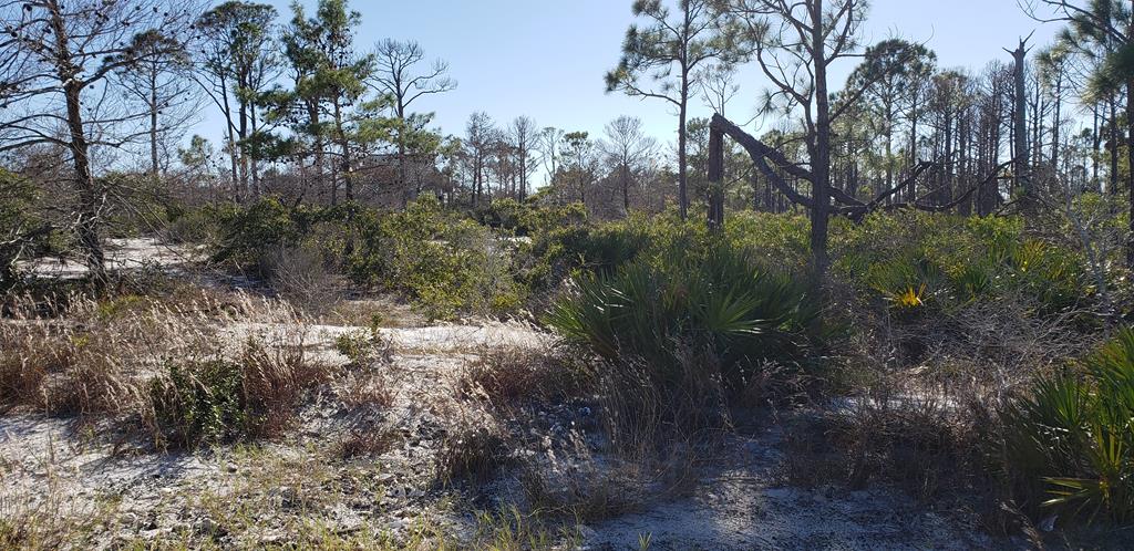 2 Spinnaker Way Port St. Joe, FL 32456 - Photo 4 of 13