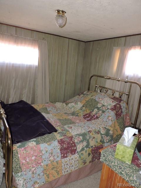 3343 Schieffelin Road Fort Garland, CO 81133 - Photo 15 of 25 Gallery Image 15
