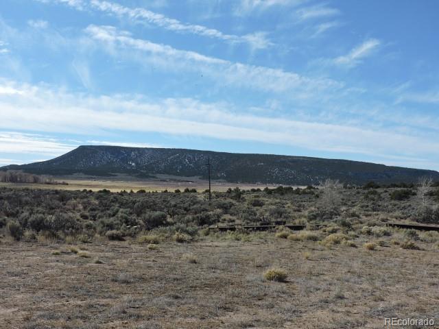 3343 Schieffelin Road Fort Garland, CO 81133 - Photo 24 of 25 Gallery Image 24