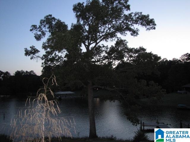 294 Smith Street Riverside, AL 35135 - Photo 15 of 28