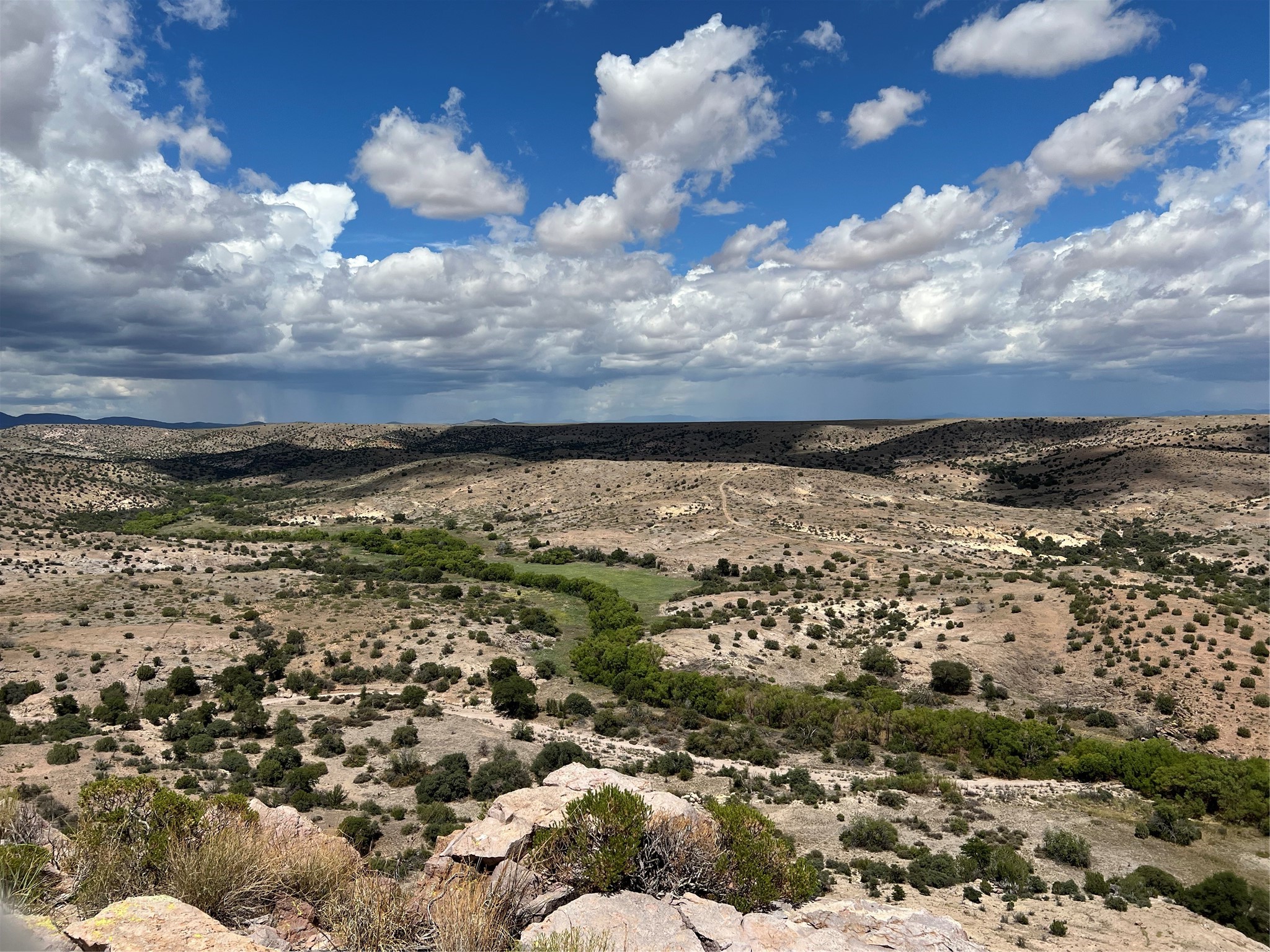 Pitchfork Pitchfork Ranch Silver City, NM 88061 - Photo 55 of 56
