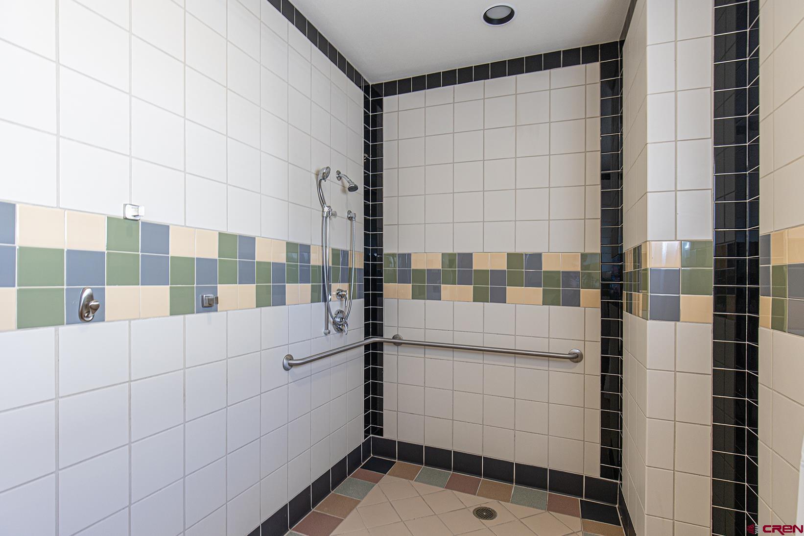 175 Mercado Street, Unit 234 Durango, CO 81301 - Photo 13 of 39 a bathroom with a shower