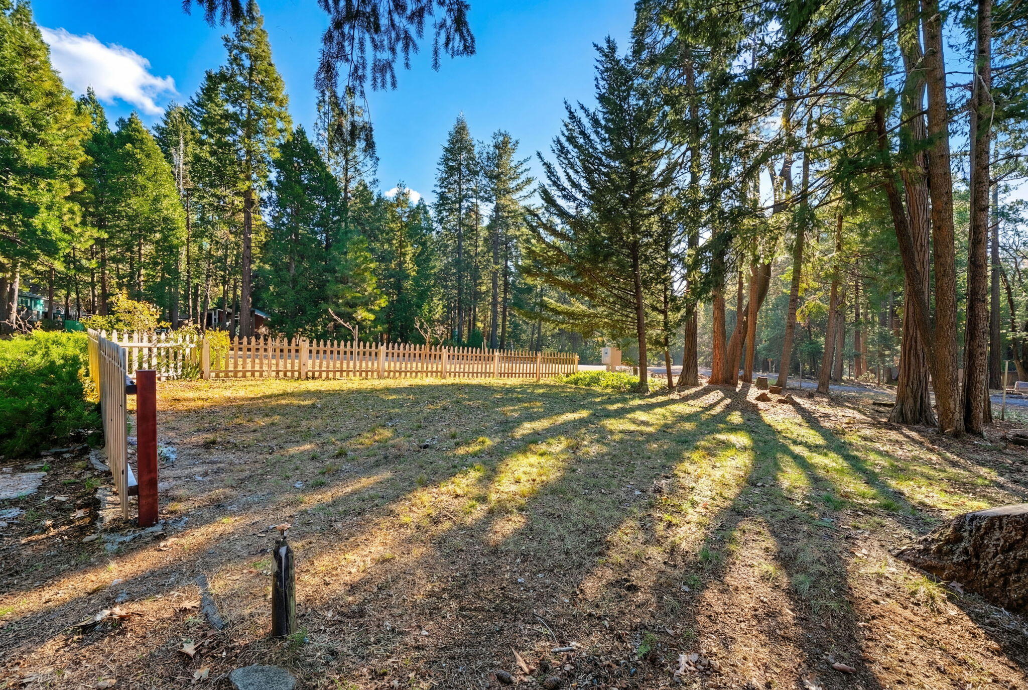 8489 Starlite Pines Road Shingletown, CA 96088 - Photo 2 of 26 a view of yard with tree