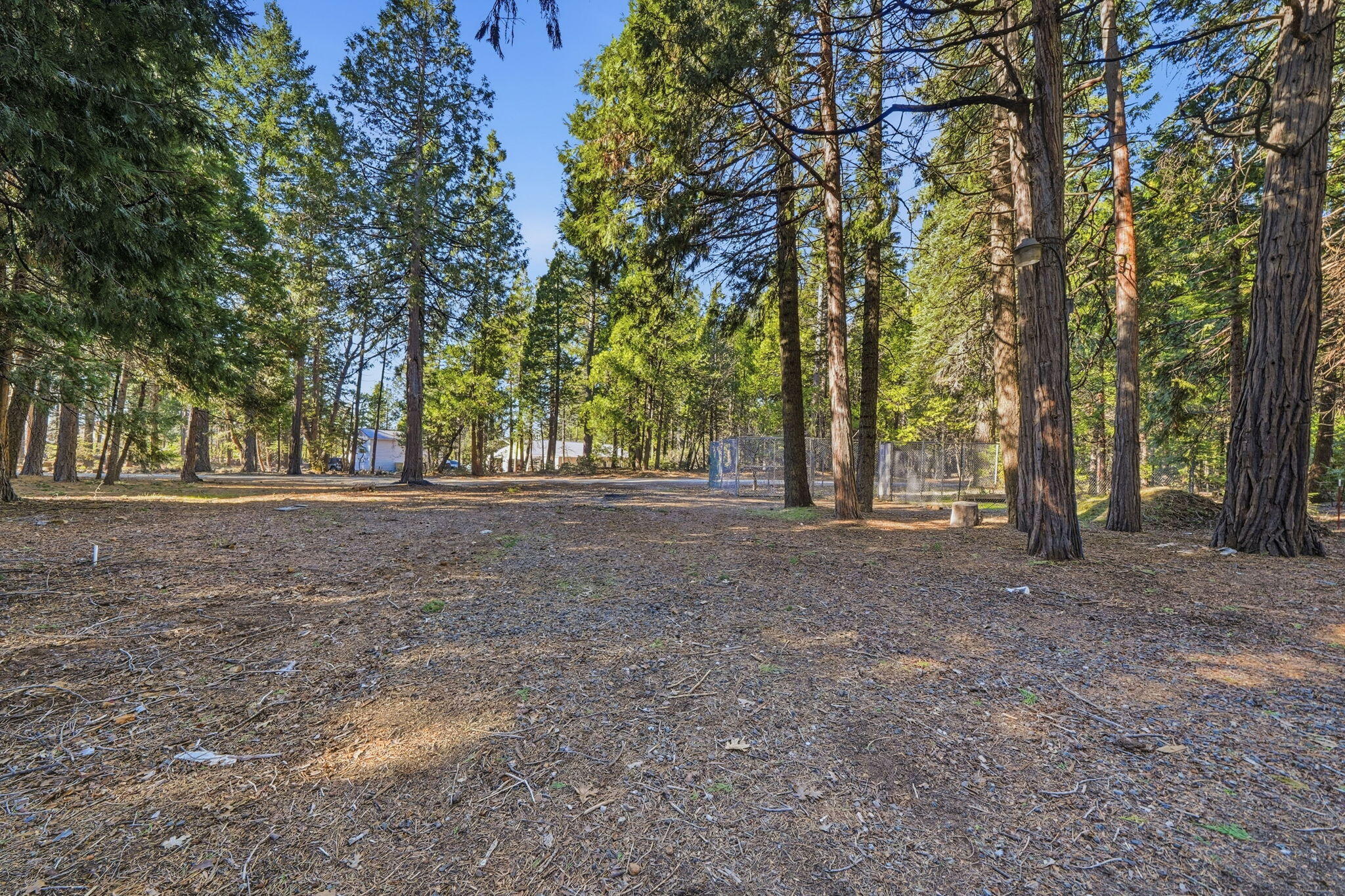 8489 Starlite Pines Road Shingletown, CA 96088 - Photo 25 of 26 a view of outdoor space with trees