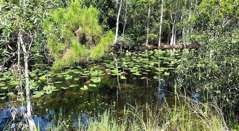 13407 165th Road North Jupiter, FL 33478 - Photo 12 of 14 FB_IMG_1509411733620