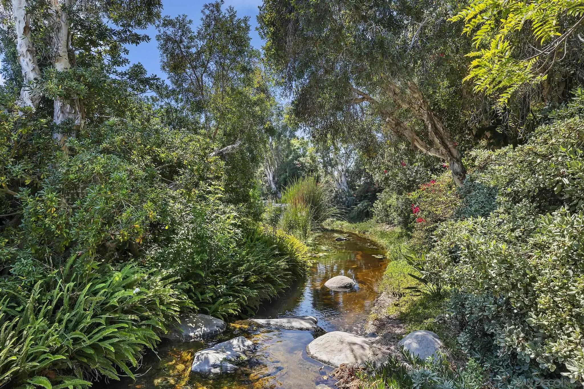 7015 Lavender Way Carlsbad, CA 92011 - Photo 52 of 67 a view of a backyard of the house