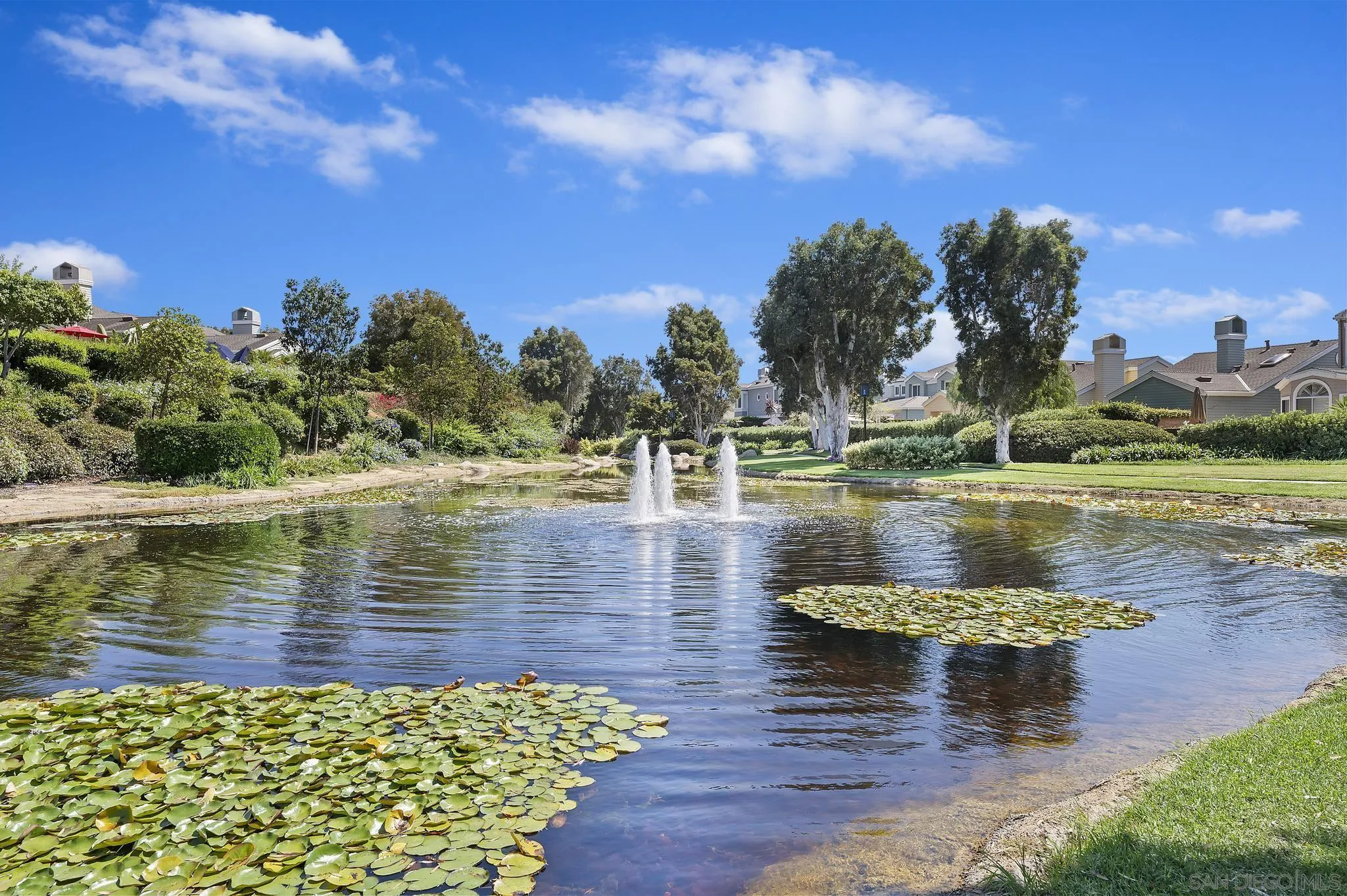 7015 Lavender Way Carlsbad, CA 92011 - Photo 60 of 67 a view of a lake with a big yard