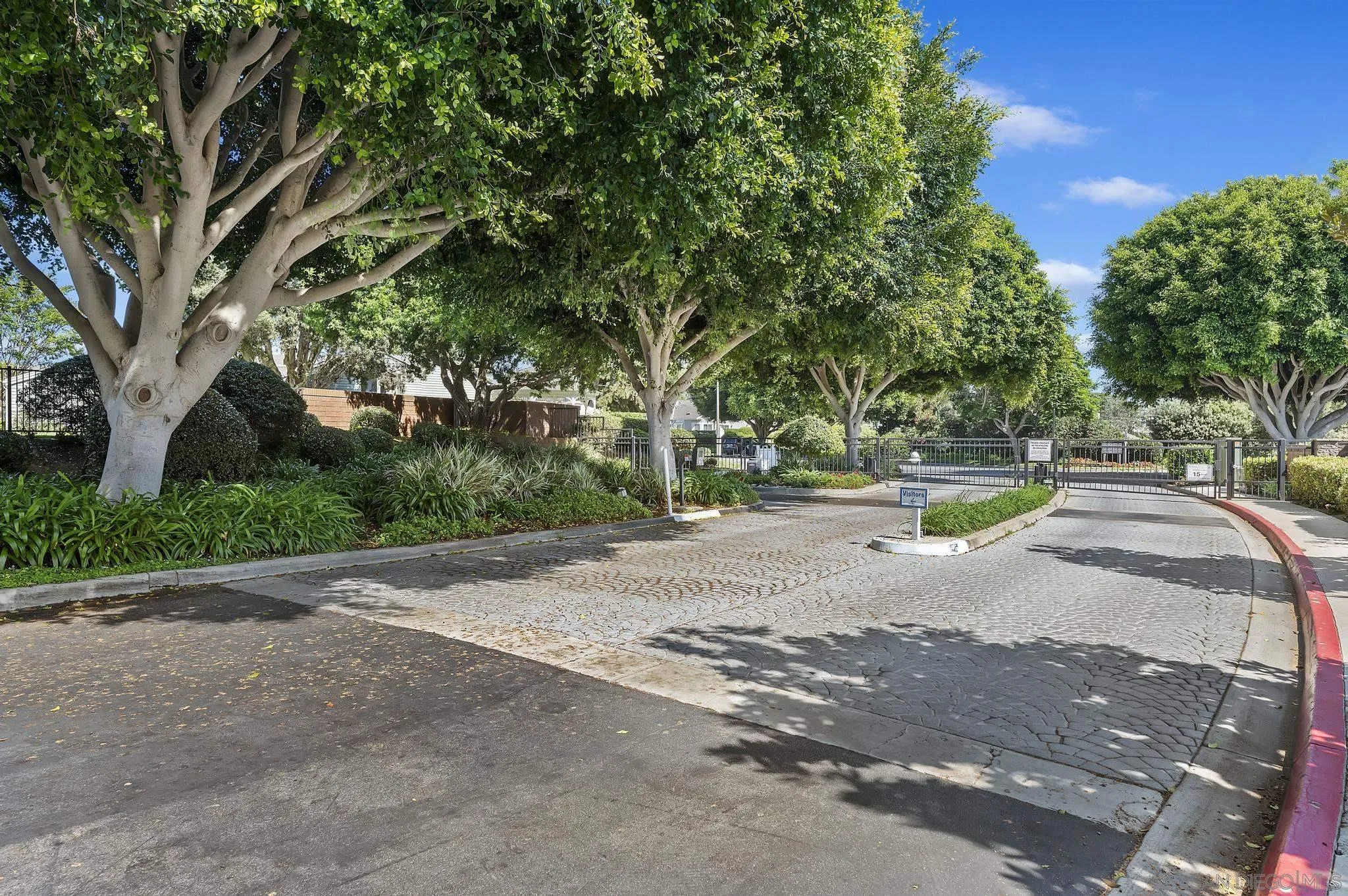 7015 Lavender Way Carlsbad, CA 92011 - Photo 66 of 67 a view of road with with trees