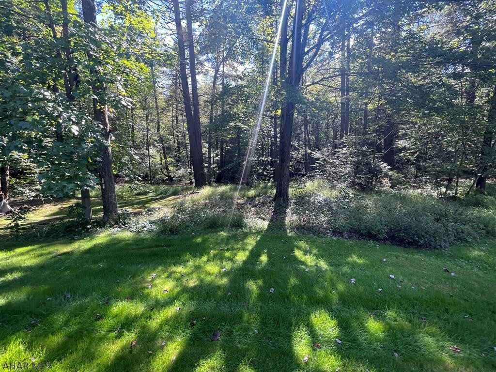 1375 Foot Of Ten Road Duncansville, PA 16635 - Photo 9 of 45 Gallery Image 9