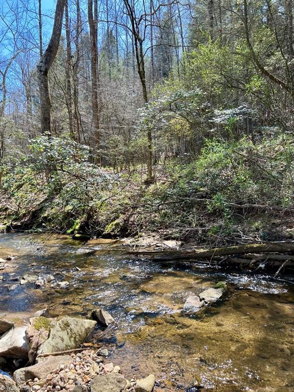1722 Dr Miles Road Ferguson, NC 28624 - Photo 24 of 34 Gallery Image 24