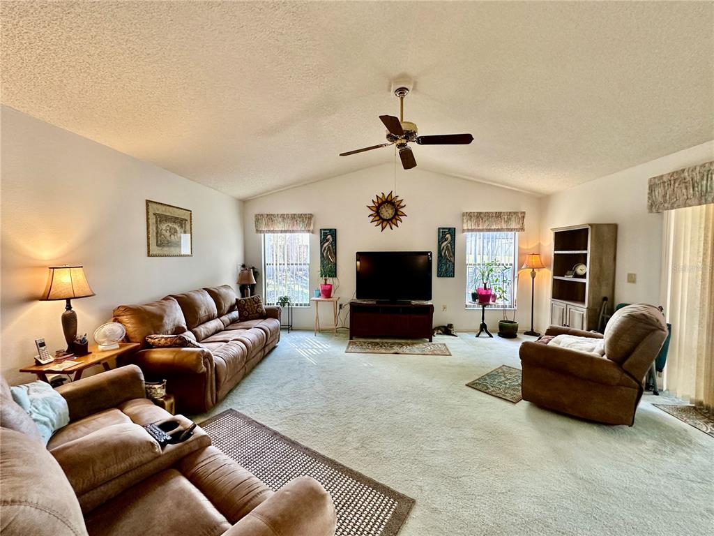 262 Santa Rosa Drive Winter Haven, FL 33884 - Photo 15 of 40 a living room with furniture a flat screen tv and a fireplace