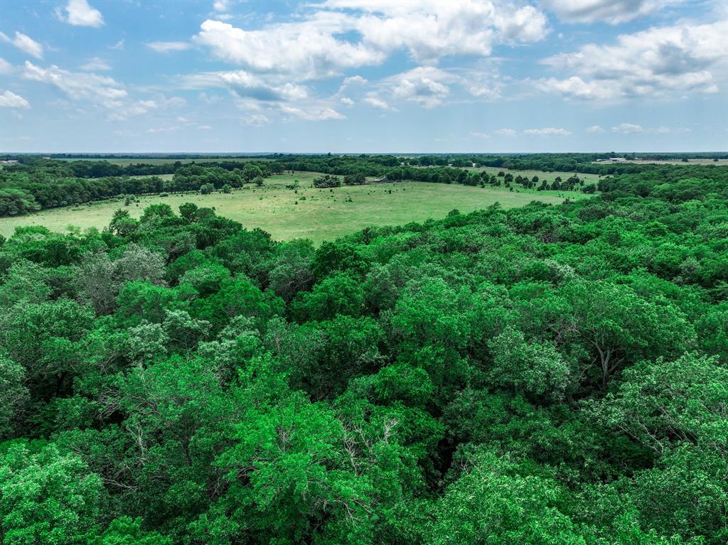 2190 County Road 2190 Commerce, TX 75428 - Photo 21 of 35
