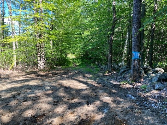0 Old Carr Road, Unit 20 Antrim, NH 03440 - Photo 1 of 7